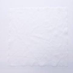 iColorPro Cleanroom Wiper for Printhead Cleaning - 1009 / 3009 / 4008 product image 4